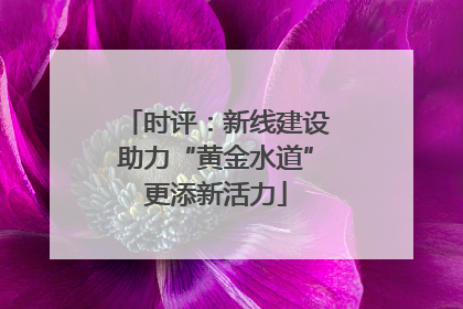 时评：新线建设助力“黄金水道”更添新活力