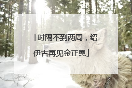 时隔不到两周，绍伊古再见金正恩