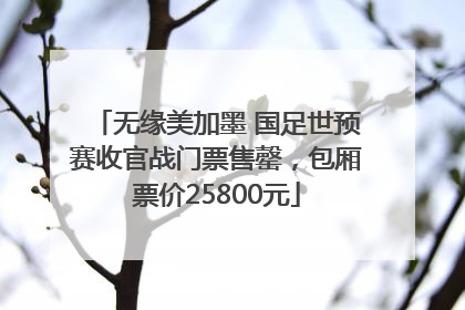 无缘美加墨 国足世预赛收官战门票售罄，包厢票价25800元
