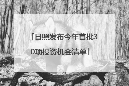 日照发布今年首批30项投资机会清单