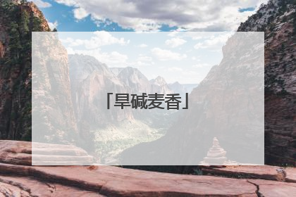 旱碱麦香