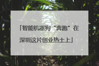 智能机器狗“奔跑”在深圳这片创业热土上