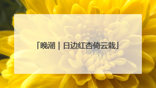 晚潮｜日边红杏倚云栽