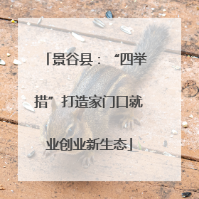 景谷县：“四举措”打造家门口就业创业新生态
