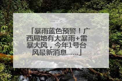 暴雨蓝色预警！广西局地有大暴雨+雷暴大风，今年1号台风最新消息……