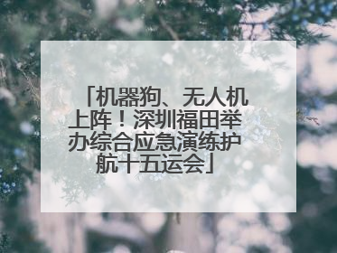 机器狗、无人机上阵！深圳福田举办综合应急演练护航十五运会