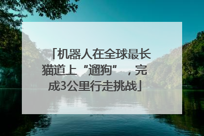 机器人在全球最长猫道上“遛狗”，完成3公里行走挑战
