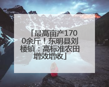 最高亩产1700余斤！东明县刘楼镇：高标准农田增效增收