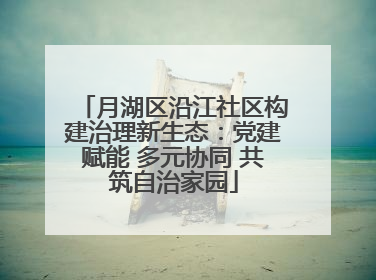 月湖区沿江社区构建治理新生态：党建赋能 多元协同 共筑自治家园