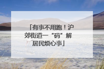 有事不用跑！沪郊街道一“码”解居民烦心事