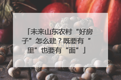 未来山东农村“好房子”怎么建？既要有“里”也要有“面”