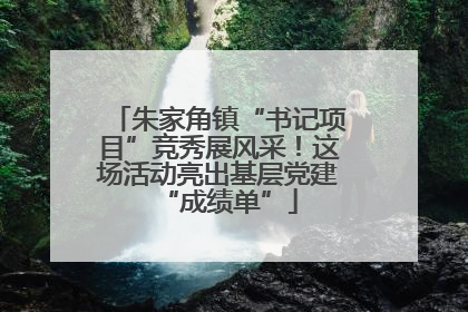 朱家角镇“书记项目”竞秀展风采！这场活动亮出基层党建“成绩单”