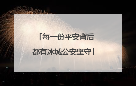 每一份平安背后 都有冰城公安坚守