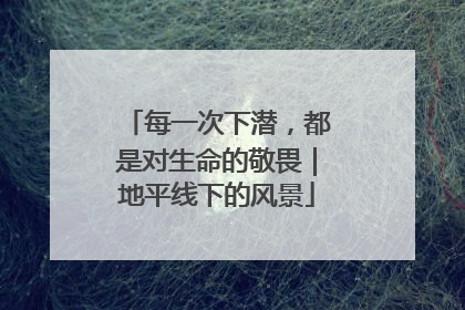 每一次下潜，都是对生命的敬畏｜地平线下的风景