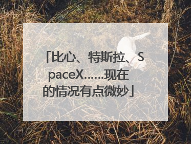 比心、特斯拉、SpaceX……现在的情况有点微妙