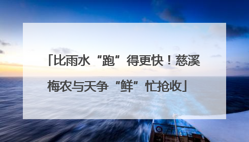 比雨水“跑”得更快！慈溪梅农与天争“鲜”忙抢收