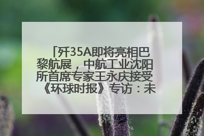 歼35A即将亮相巴黎航展，中航工业沈阳所首席专家王永庆接受《环球时报》专访：未来数量可以有很多