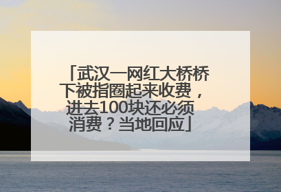 武汉一网红大桥桥下被指圈起来收费，进去100块还必须消费？当地回应