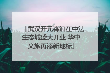 武汉开元森泊在中法生态城盛大开业 华中文旅再添新地标