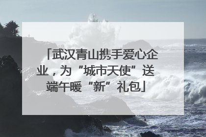 武汉青山携手爱心企业，为“城市天使”送端午暖“新”礼包