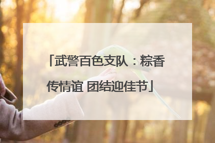 武警百色支队：粽香传情谊 团结迎佳节