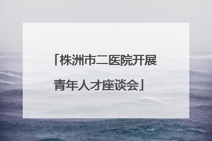 株洲市二医院开展青年人才座谈会