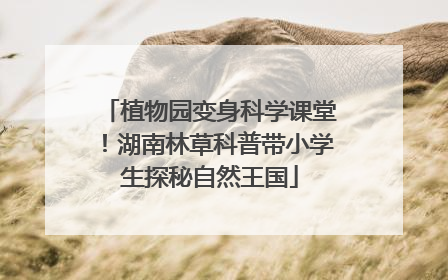 植物园变身科学课堂！湖南林草科普带小学生探秘自然王国