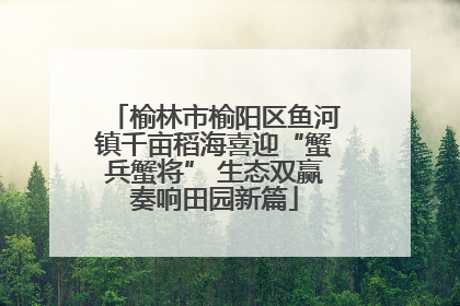 榆林市榆阳区鱼河镇千亩稻海喜迎“蟹兵蟹将” 生态双赢奏响田园新篇