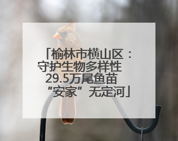 榆林市横山区：守护生物多样性 29.5万尾鱼苗“安家”无定河
