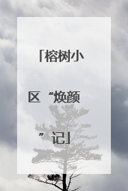 榕树小区“焕颜”记