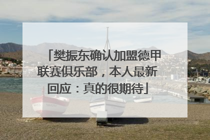 樊振东确认加盟德甲联赛俱乐部，本人最新回应：真的很期待