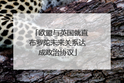 欧盟与英国就直布罗陀未来关系达成政治协议