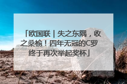 欧国联｜失之东隅，收之桑榆！四年无冠的C罗终于再次举起奖杯