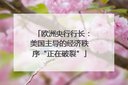 欧洲央行行长:美国主导的经济秩序“正在破裂”