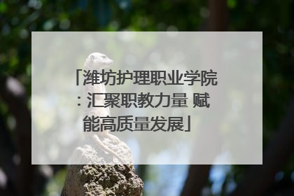 潍坊护理职业学院：汇聚职教力量 赋能高质量发展