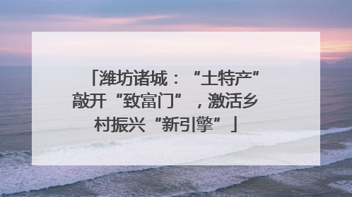潍坊诸城：“土特产”敲开“致富门”，激活乡村振兴“新引擎”