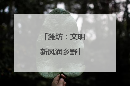 潍坊：文明新风润乡野