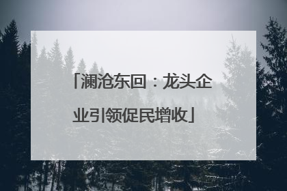澜沧东回：龙头企业引领促民增收