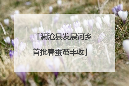 澜沧县发展河乡首批春蚕茧丰收