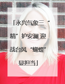 永兴气象三“精”护安澜 迎战台风“蝴蝶”显担当