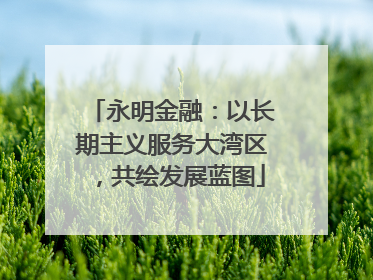 永明金融：以长期主义服务大湾区，共绘发展蓝图
