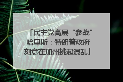 民主党高层“参战” 哈里斯：特朗普政府刻意在加州挑起混乱