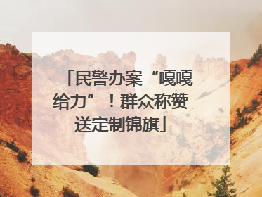 民警办案“嘎嘎给力”！群众称赞送定制锦旗