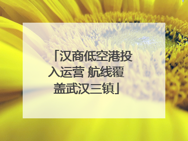 汉商低空港投入运营 航线覆盖武汉三镇