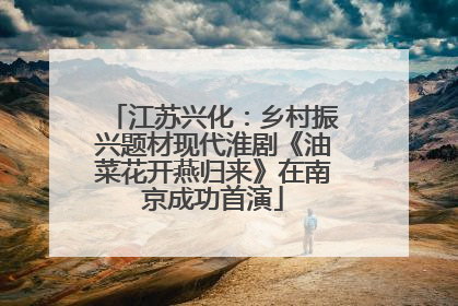 江苏兴化：乡村振兴题材现代淮剧《油菜花开燕归来》在南京成功首演