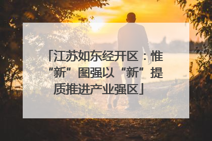 江苏如东经开区：惟“新”图强以“新”提质推进产业强区