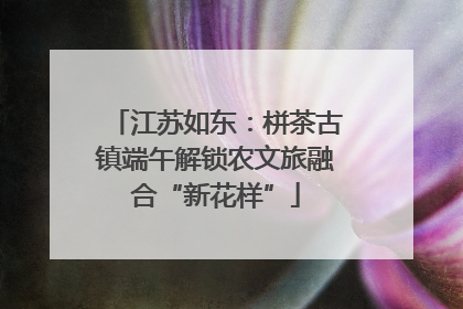 江苏如东：栟茶古镇端午解锁农文旅融合“新花样”