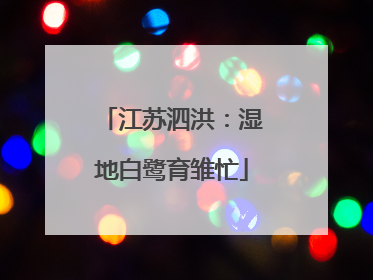 江苏泗洪：湿地白鹭育雏忙