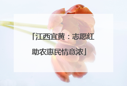 江西宜黄：志愿红助农惠民情意浓
