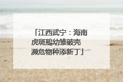 江西武宁：海南虎斑鳽幼雏破壳 濒危物种添新丁